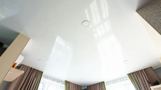 shutterstock 1849731205 1.bupw2noh z2wdimr